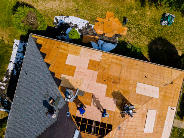 Best Roof Repair Services  in Lenexa, KS