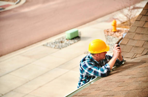 Best Roof Gutter Cleaning  in Lenexa, KS