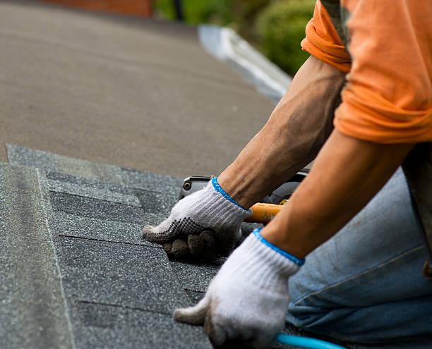 Best Roof Repair Services  in Lenexa, KS