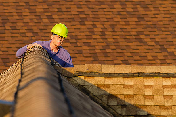 Best Local Roofing Companies  in Lenexa, KS